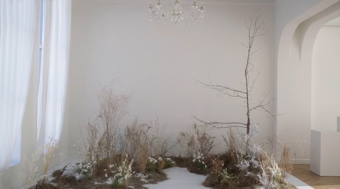 Декораторы PAVLÍNA design