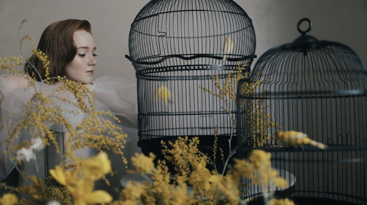 Декораторы RDecor