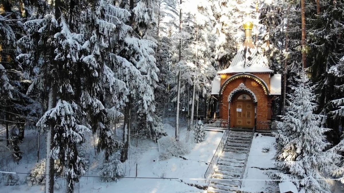 Площадки Репино Парк Отель